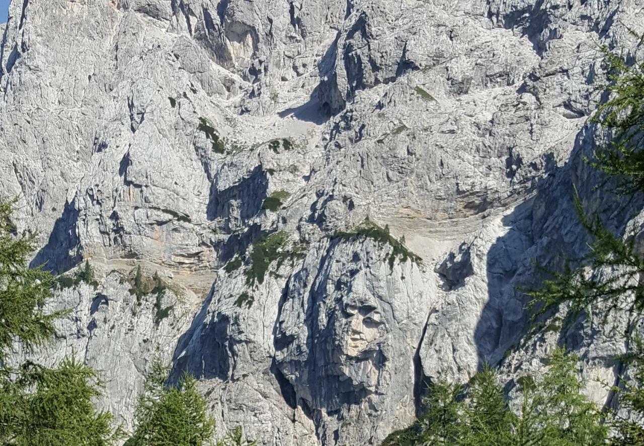 Apartma Manca Kranjska Gora Kültér fotó