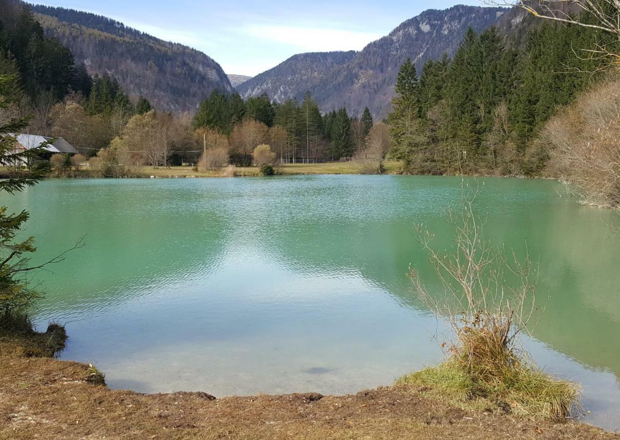 Apartma Manca Kranjska Gora Kültér fotó